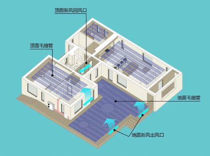 三恒係統五恒係統與麻豆AV免费看网站的差異